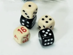 Dés De Backgammon + Videau - Résine