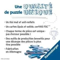 Puzzle Ravensburger - 5000 p - Chapelle Sixtine Puzzle Ravensburger - 5000 P - Chapelle Sixtine -Rouge et Noir Magasin puzzle ravensburger 5000 p chapelle sixtine puzzle en carton 845068